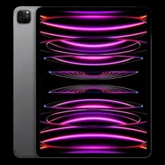 iPad Pro (2022) 12.9 256GB
